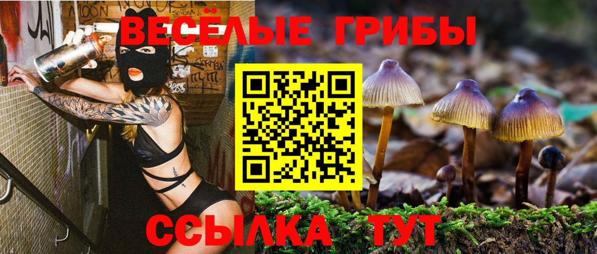 Галлюциногенные грибы Psilocybine cubensis  Псилоцибиновые грибы Cubensis  Вход с VPN  Краснокаменск 