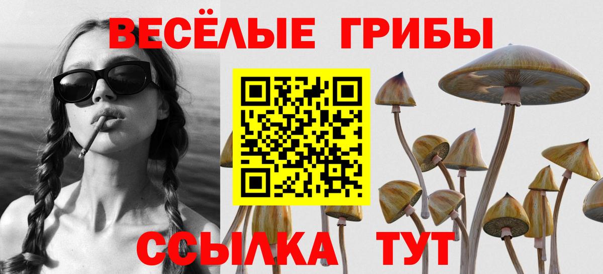 Галлюциногенные грибы Cubensis Краснокаменск